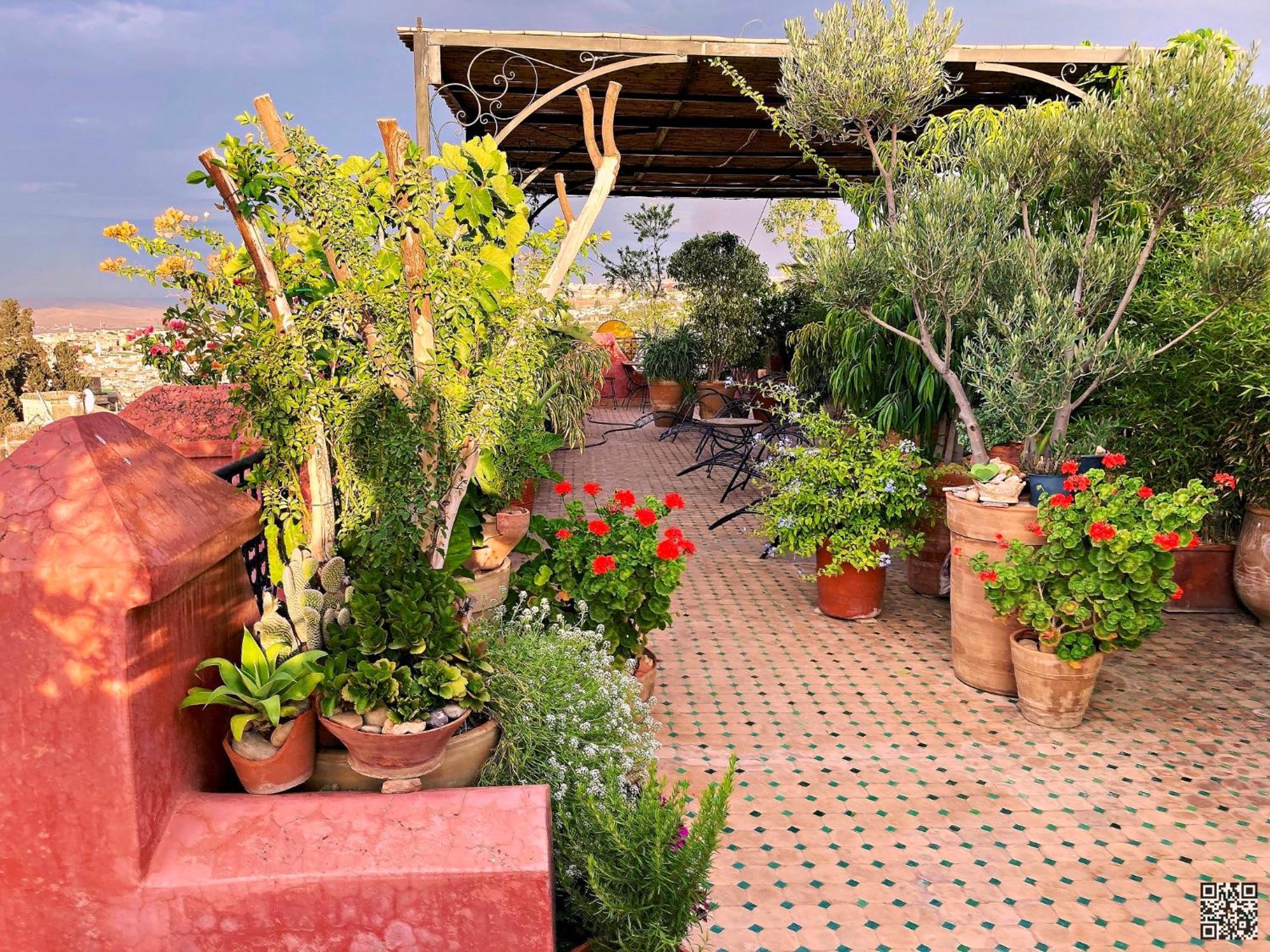 Riad Toyour- Riad Of Birds Fès Exterior foto