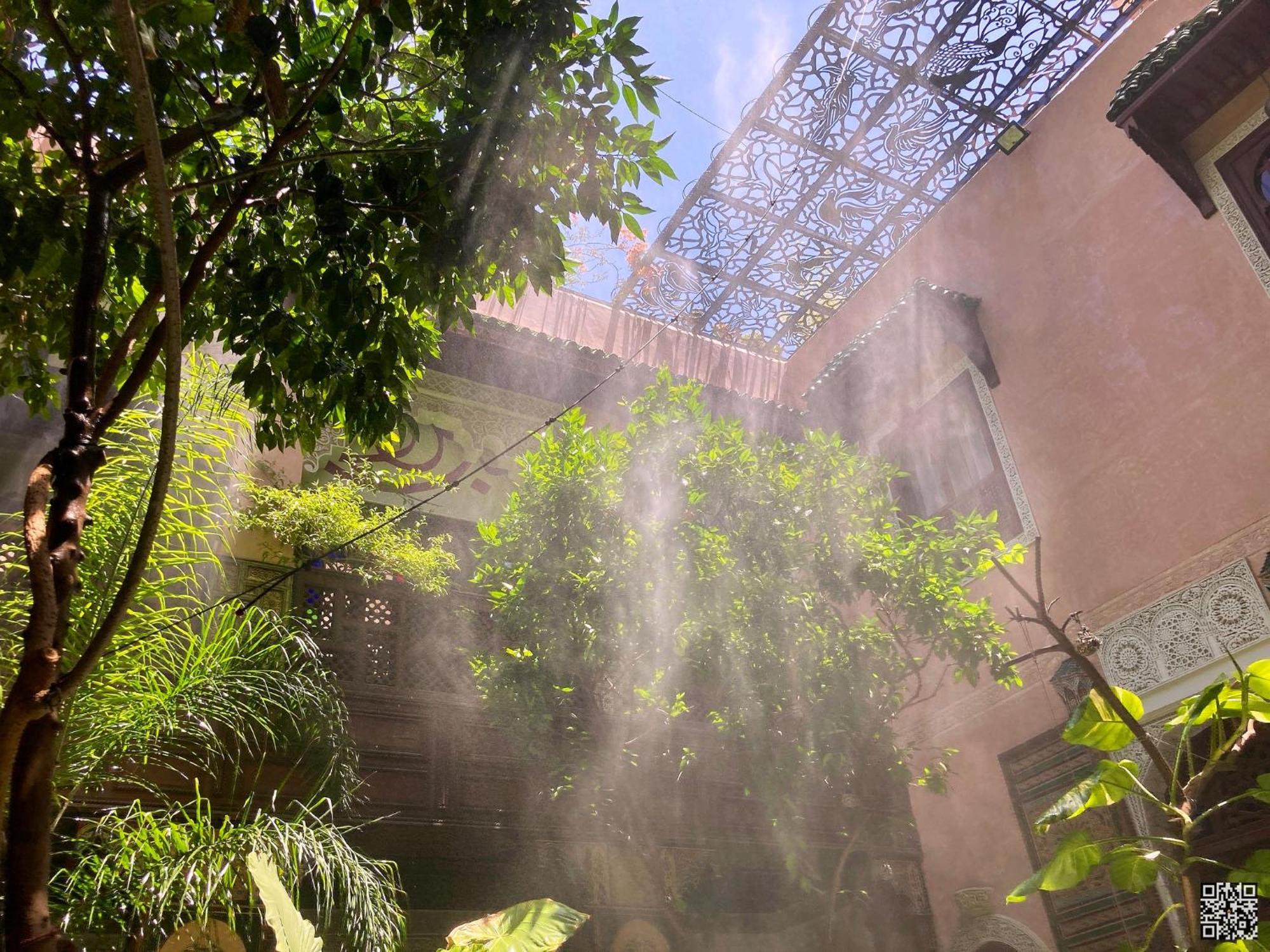 Riad Toyour- Riad Of Birds Fès Exterior foto