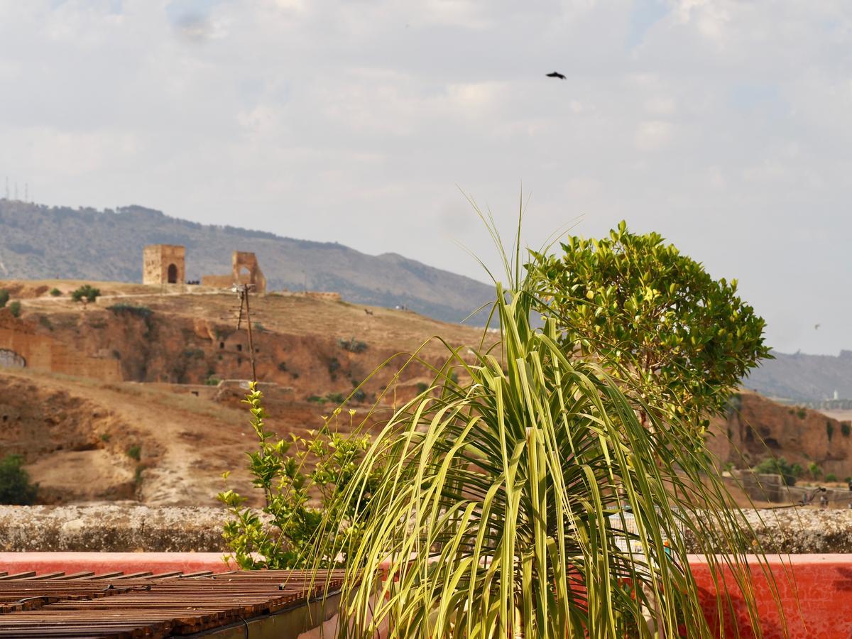 Riad Toyour- Riad Of Birds Fès Exterior foto