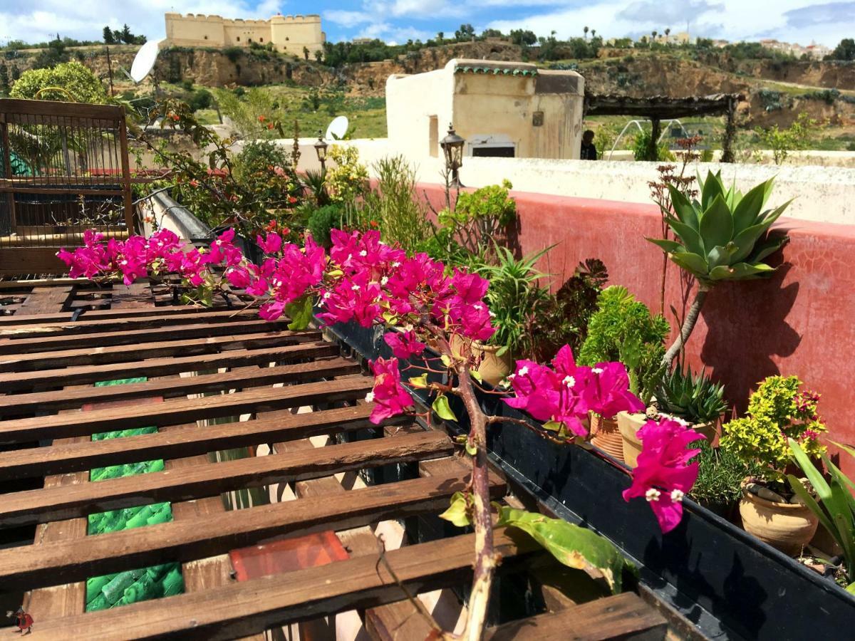 Riad Toyour- Riad Of Birds Fès Exterior foto
